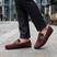 Hl 245 bordo