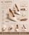 Branco