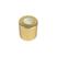 Dourado
