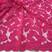 Rosa Pink