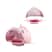 Atualizar rosa