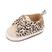 Leopardo