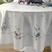 JARDIM D