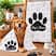 Cachorro Personalizado 02