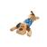 Cachorro Azul