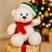 Urso Gorro Verde Cachecol Vermelho