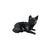 Preto