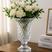 Transparente