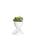 Branco