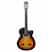 GNF-1D CEQ CT3TS