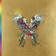 imagem do produto Coldplay Live In São Paulo & Buenos Aires - Pacote Borboleta (2 CDs + 2 DVDs)