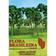 imagem do produto Flora brasileira - arecaceae