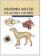 imagem do produto Livro - Anatomia do Cão - Atlas para Colorir