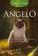 imagem do produto Livro - ANGELO