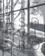 imagem do produto Livro - Casas de vidro / Glass Houses