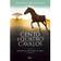 imagem do produto Livro - Cento e quatro cavalos