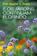 imagem do produto Livro - E os jardins continuam florindo