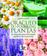 imagem do produto Livro - Oráculo do poder das plantas