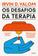 imagem do produto Livro - Os desafios da terapia
