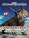 imagem do produto Livro quebra-cabeça divertido - dinossauros triceratopos