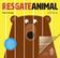 imagem do produto Livro - Resgate animal