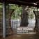 imagem do produto Livro - Tree houses