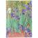 imagem do produto Paperblanks Van Gogh's Irises Grande Capa Dura Sem Pauta