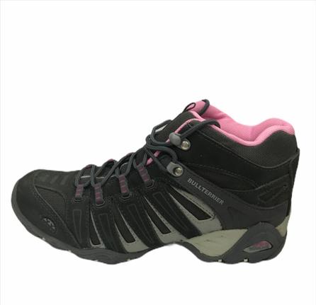 bull terrier feminino rosa