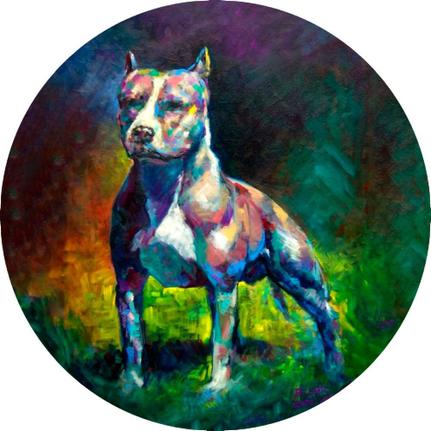 fábrica da pit bull no brás