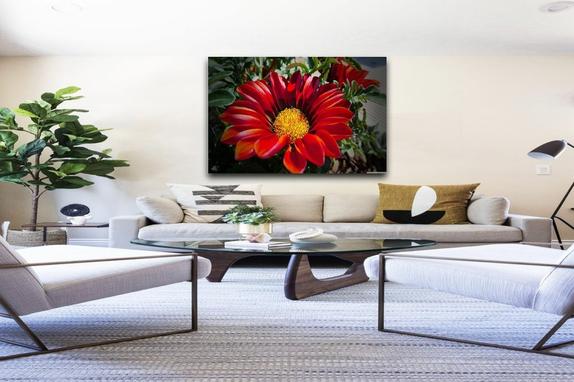 Quadro Decorativo Margarida Vermelha Sala Podium Quadro Decorativo Magazine Luiza