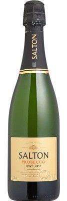 Vinho Espumante Branco Salton Prosecco Brut - 750ml - - Espumante /  Champagne - Magazine Luiza