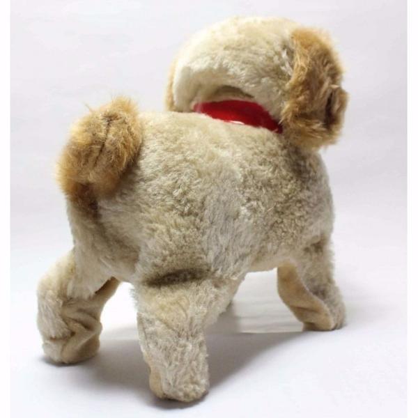 Cachorro fantastic puppy Clearance