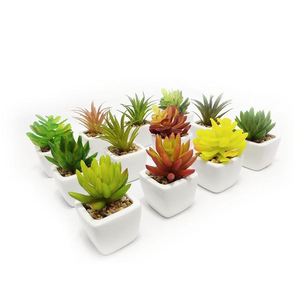 Suculenta Artificial Mini Vaso Cerâmica Branco - Melhores Ofertasnet Imagem de Suculenta Artificial Mini Vaso Cerâmica Branco
