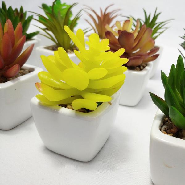 Suculenta Artificial Mini Vaso Cerâmica Branco - Melhores Ofertasnet Imagem de Suculenta Artificial Mini Vaso Cerâmica Branco