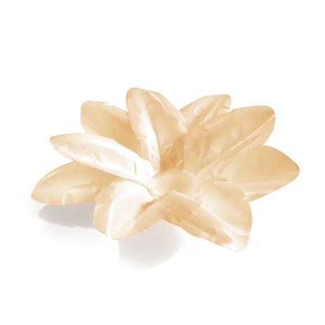 20 Forminhas P/Doce Lirio Creme Dec. Festas - Cromus Menor preço em 20 Forminhas P/Doce Lirio Creme Dec. Festas - Cromus