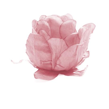 24 Forminhas P/Doce Rosa Pessego Dec. Festas - Cromus Menor preço em 24 Forminhas P/Doce Rosa Pessego Dec. Festas - Cromus