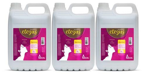 3 Shampoo Queratina Hidratação Proteção Etezus Intense 5l - Madrevita é boa?