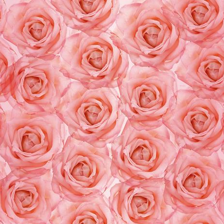 50 Saco Perolado P/Presente 25X37Cm Floral Rosa - Cromus Menor preço em 50 Saco Perolado P/Presente 25X37Cm Floral Rosa - Cromus