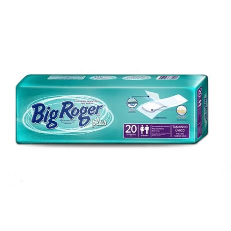 Absorvente geriatrico big roger 12 pct. c/20 cxf Menor preço em Absorvente geriatrico big roger 12 pct. c/20 cxf