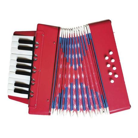 Acordeon Sanfona Infantil Junior Musical 8 Baixos 17 Teclas Dm Toys Instrumento Musical De Brinquedo Magazine Luiza
