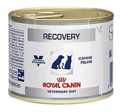 Ração umida recovery Clearance