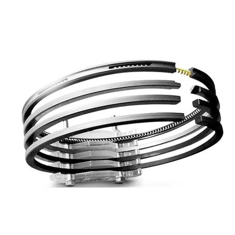 Anel 4 Cilindros Fiat 1.6 8V. Act Uno /Premio /Tipo 0,60 - Maxxmotors Menor preço em Anel 4 Cilindros Fiat 1.6 8V. Act Uno /Premio /Tipo 0,60 - Maxxmotors