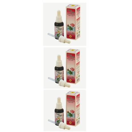 Apis Flora Extrato De Própolis Lótus 30ml (Kit C/03) Menor preço em Apis Flora Extrato De Própolis Lótus 30ml (Kit C/03)