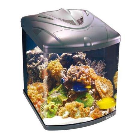 [object Object] é boa?