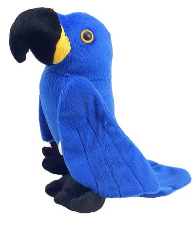 [object Object] é boa?