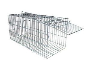 Armadilha gatoeira automática para gatos, gambas e outros animais - Contrerapet Menor preço em Armadilha gatoeira automática para gatos, gambas e outros animais - Contrerapet