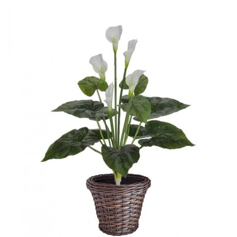 Arranjo Copo de Leite Artificial Toque Real Silicone 55cm e Vaso Cachepot - Flor Arte Menor preço em Arranjo Copo de Leite Artificial Toque Real Silicone 55cm e Vaso Cachepot - Flor Arte