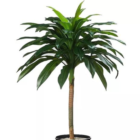 Árvore Dracena Pau DÁgua 110cm Planta Artificial - S.m. é boa?