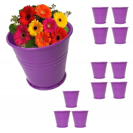 Balde Cachepot de Ferro Para Mesa Festa Evento Pequeno Roxo Com 12 (balde-p-a) - Braslu Menor preço em Balde Cachepot de Ferro Para Mesa Festa Evento Pequeno Roxo Com 12 (balde-p-a) - Braslu