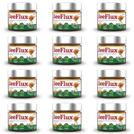 Baldoni Beeflux Mel / Própolis / Agrião 200g (Kit C/12) Menor preço em Baldoni Beeflux Mel / Própolis / Agrião 200g (Kit C/12)